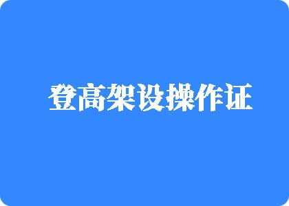 艹我我想要登高架设操作证